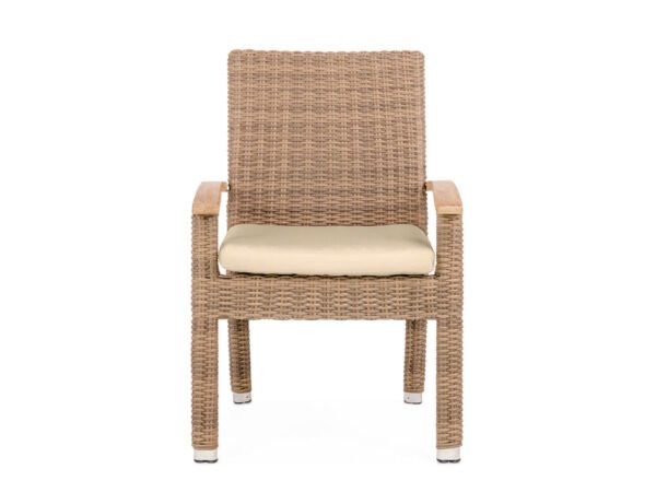 Havana Arm Chair (Stacking)